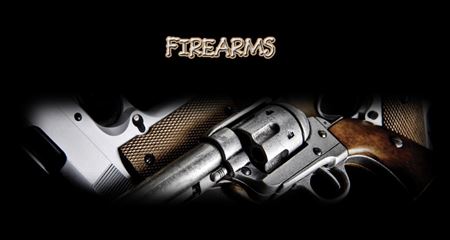 Picture for category Firearms