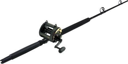 Picture of Shimano TLD & Star Rods Stand-Up Combo