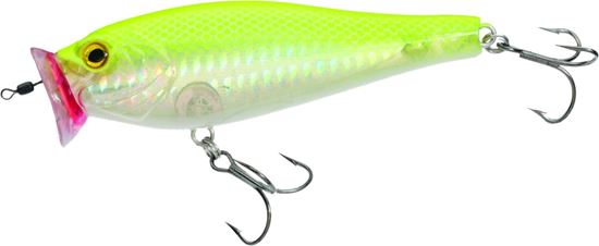 Picture of Unfair Kaboom Popper