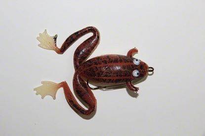Picture of Felmlee Floating Frog