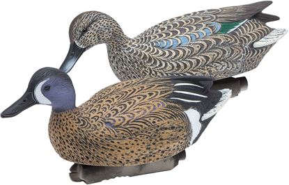 Picture of Blue-Wing Teal