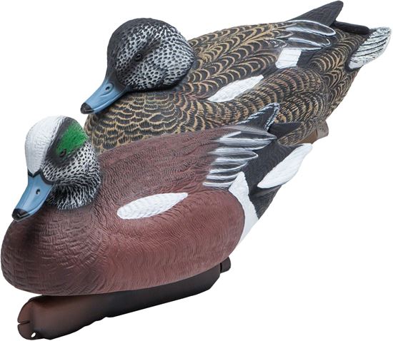 Picture of Widgeon