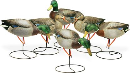 Picture of Field Mallards