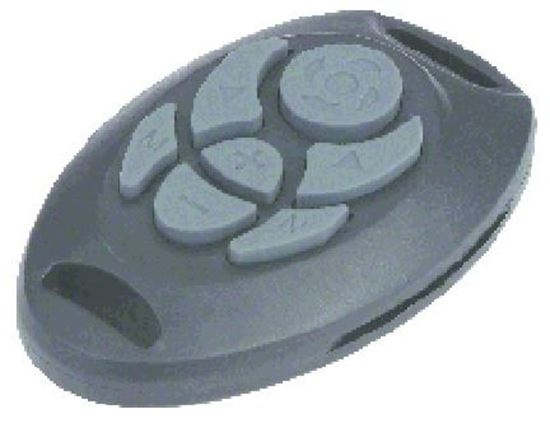 Picture of Spare Remote Control