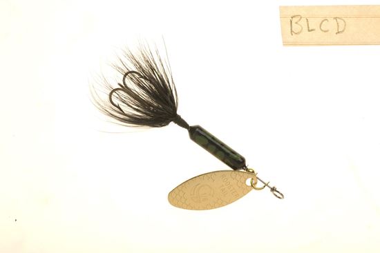 Picture of Wordens Rooster Tail® 1/16 to 1/4 Ounce