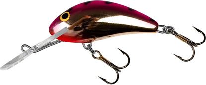 Picture of Salmo Hornet 1-3/8", 1-3/4", 2"