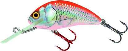Picture of Salmo Hornet 1-3/8", 1-3/4", 2"