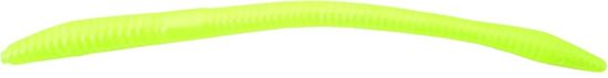 Picture of Zoom Trick Worm