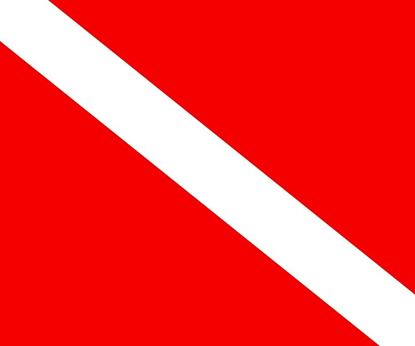 Picture of Dive Flag