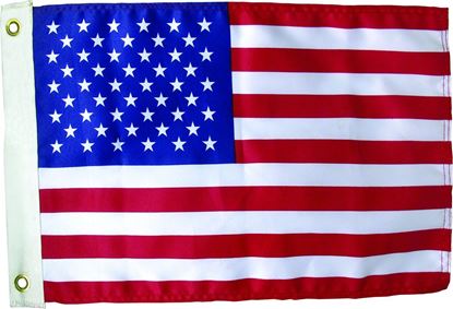 Picture of American Flag