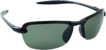 Picture of Sea Striker Sea Hawk Sunglasses
