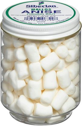 Picture of Siberian Mallows