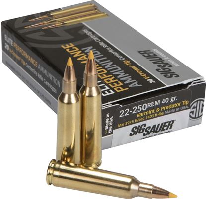 Picture of Sig Sauer E225V1-20 Elite Performance Rifle Ammo, Varmint & Predator, 22-250 REM, 40GR, BOX/20