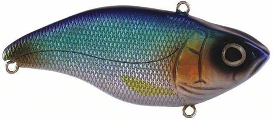 Picture of Spro Aruku Shad Jr. 60