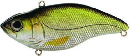 Picture of Spro Aruku Shad Jr. 60