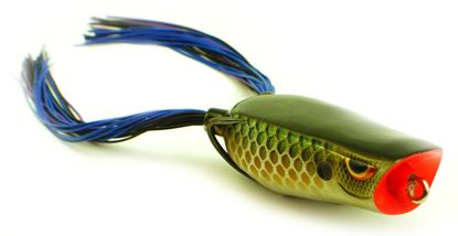 Picture of Spro Bronzeye Pop 50