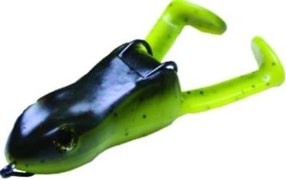 Picture of Stanley Top Toad