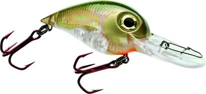 Picture of Storm Wiggle Wart® MadFlash