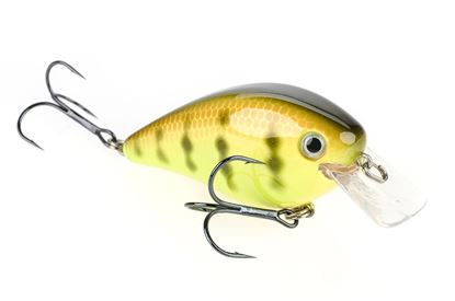 Picture of KVD Square Bill Series 2.5 Crankbait