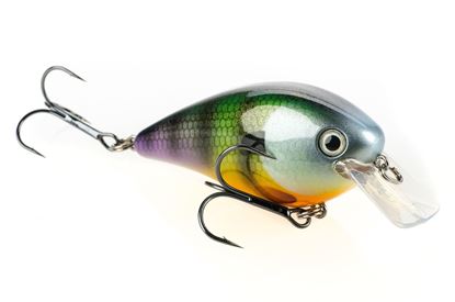 Picture of KVD Square Bill Series 2.5 Crankbait