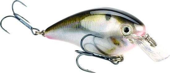 Picture of KVD Square Bill Series 2.5 Crankbait