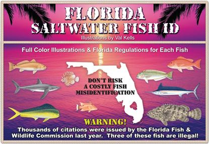 Picture of Florida Saltwater Fish Id