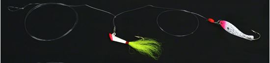 Picture of Nungesser Shad Rigs