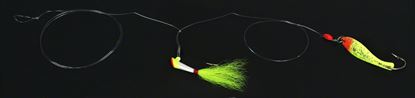 Picture of Nungesser Shad Rigs