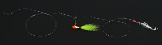 Picture of Nungesser Shad Rigs