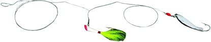 Picture of Nungesser Shad Rigs