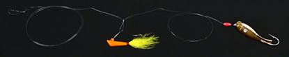 Picture of Nungesser Shad Rigs