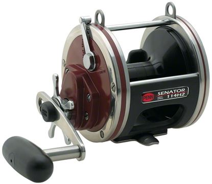 Picture of Penn Senator® Star Drag Reels