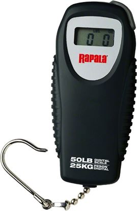 Picture of Rapala Scale