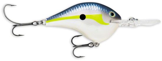 Picture of Rapala DT® (Dives-To)