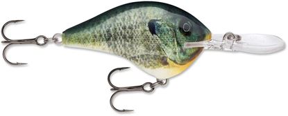 Picture of Rapala DT® (Dives-To)