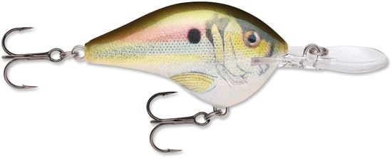 Picture of Rapala DT® (Dives-To)