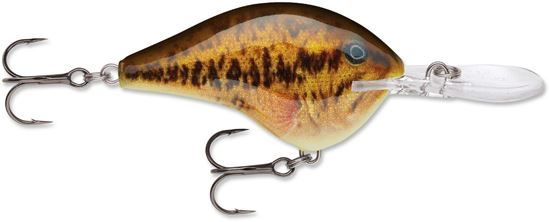 Picture of Rapala DT® (Dives-To)