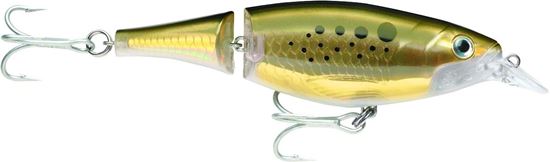 Picture of Rapala X-Rap® Shad Shallow