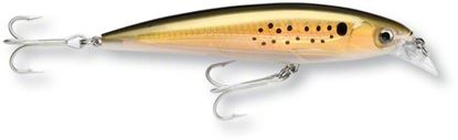 Picture of Rapala X-Rap® Saltwater