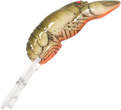 Picture of Rebel Crawfish