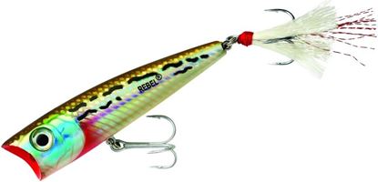 Picture of Rebel Saltwater Super Pop-R