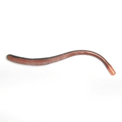 Picture of Roboworm ST-F2JY Straight Tail Worm