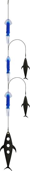 Picture of Fish Razr FR927 Deadly DaiZy Blue-