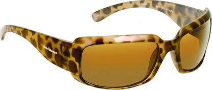 Picture of La Palma Sunglasses