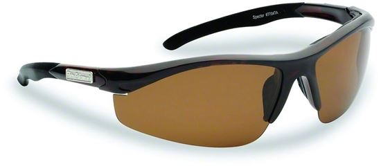 Picture of Spector Sunglasses