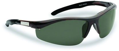 Picture of Spector Sunglasses