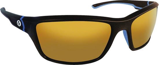 Picture of Cove Sunglasses