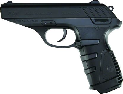 Picture of Gamo P-25 Blowback