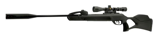 Picture of Gamo Swarm Magnum Whisper Fushion