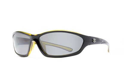 Picture of Calcutta Backspray Sunglasses